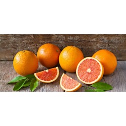 Orange Sorly jus