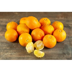 Orange sorly table