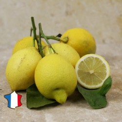 Citron Feuille de Nice