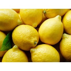 Citron non traités