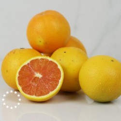 Orange valencia Bio